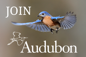 audubon-join-sidebar